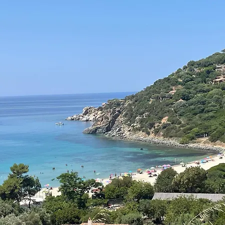 L'albero Di Beatrice *